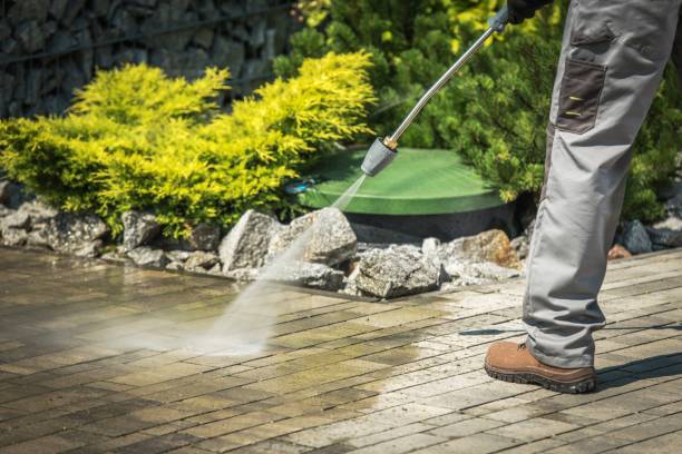 Best Driveway Pressure Washing  in , WA